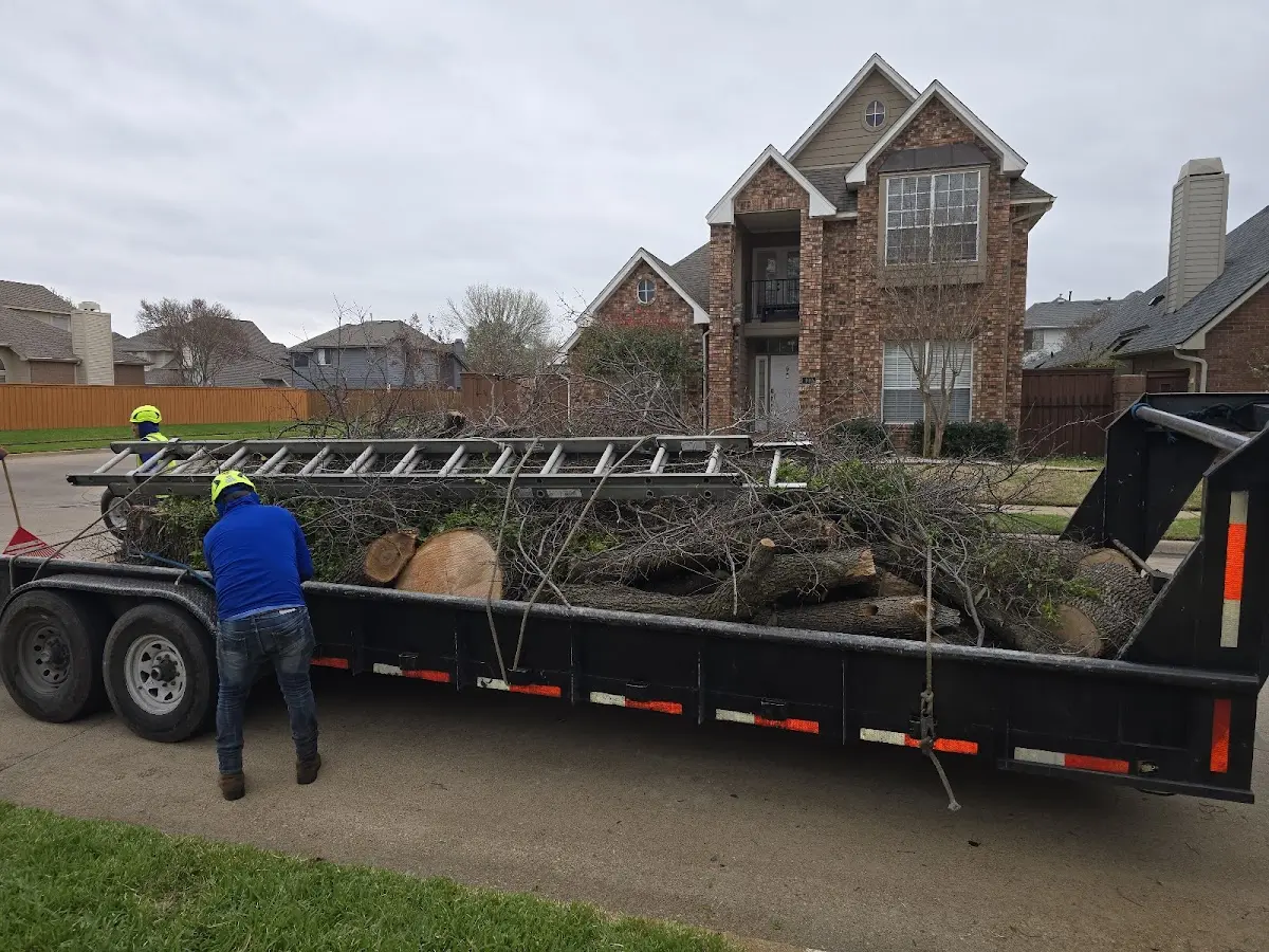 Expert Tree Removal with proper safety equipment in Tescott